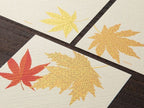 Midori - Letter Pad 181 Silk-Printing Fallen Leaves S2