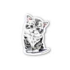 Morgan Swank Studio - Kitten Sticker