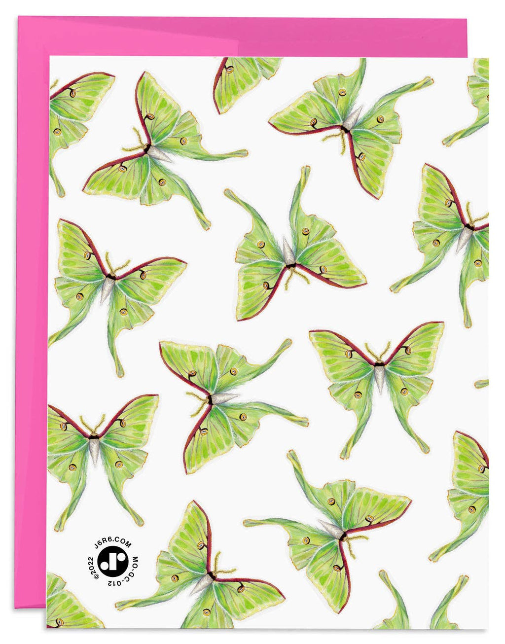 J6R6 - Luna Moth Birthday Card