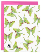 J6R6 - Luna Moth Birthday Card