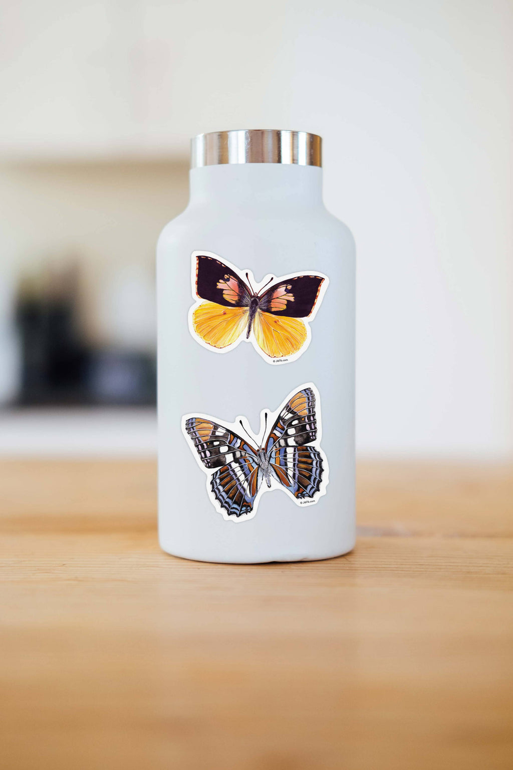 J6R6 - Butterfly 14 Vinyl Sticker (California Dog Face Butterfly)