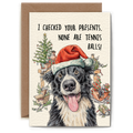 Hester & Cook - Stationery - Festive Tennis Balls Card