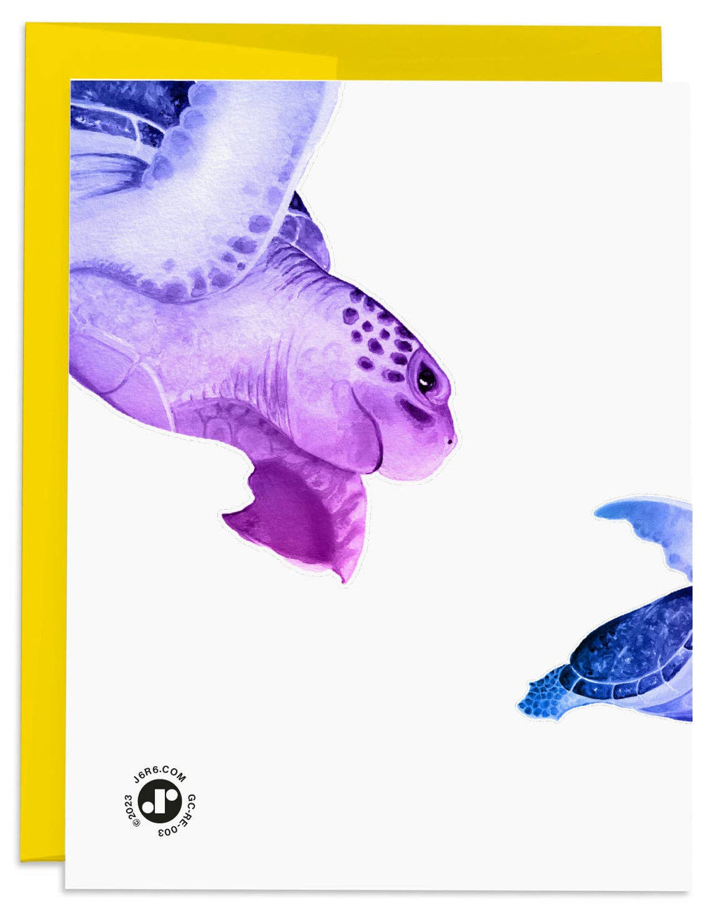 J6R6 - Sea Turtle, Turtley Awesome Birthday Card