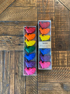 Playful Roots - Sharks Gift Set