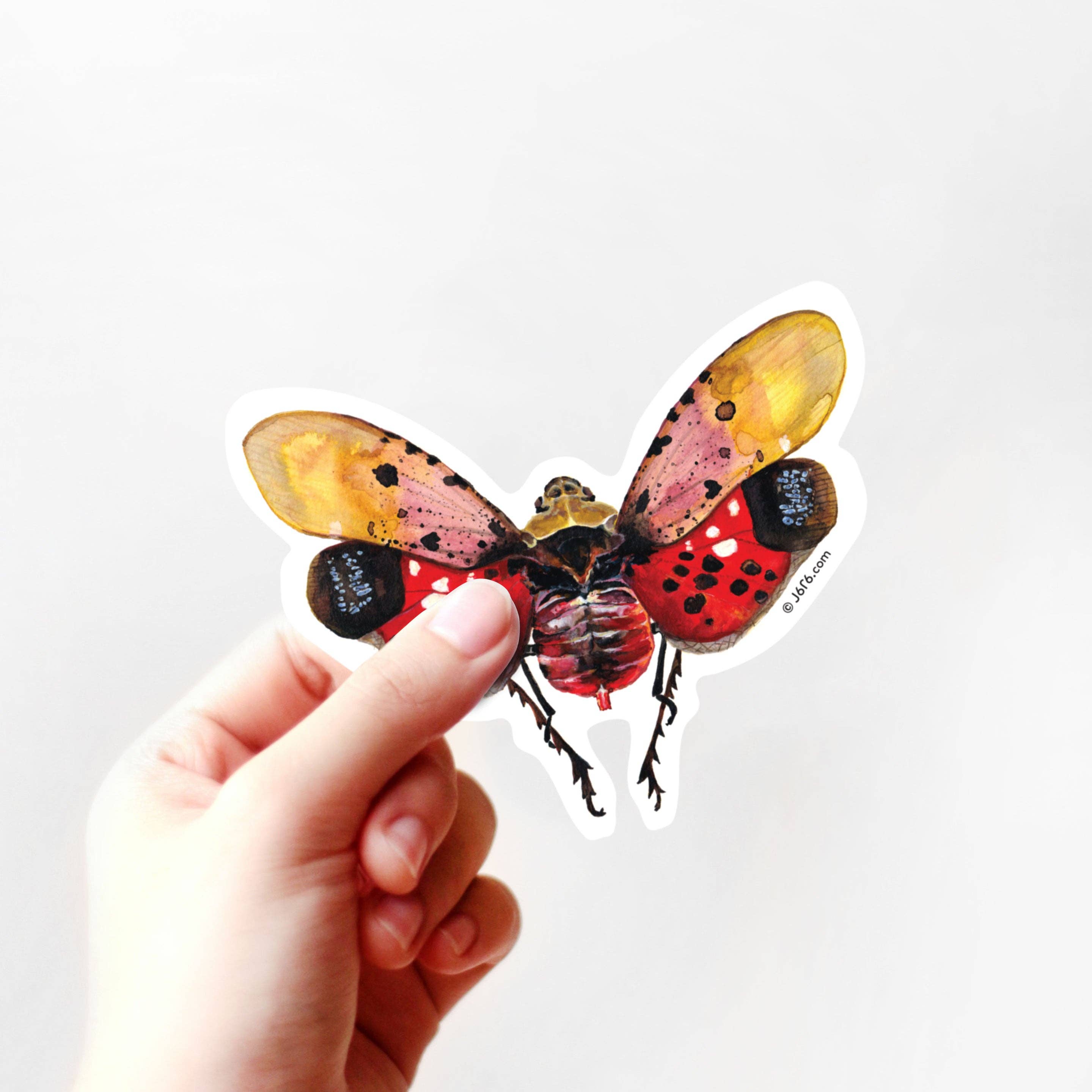 J6R6 - Lanternfly Vinyl Sticker
