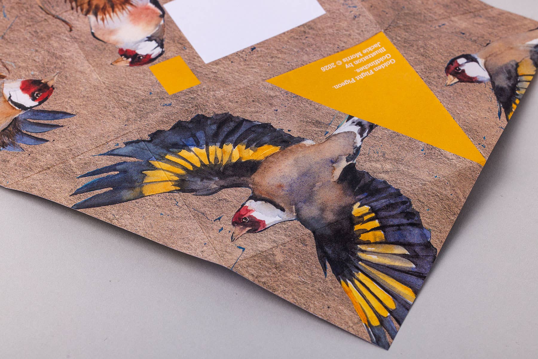 pigeonposted - Golden Flight Pigeon, Folding Letter Set – pack of 6