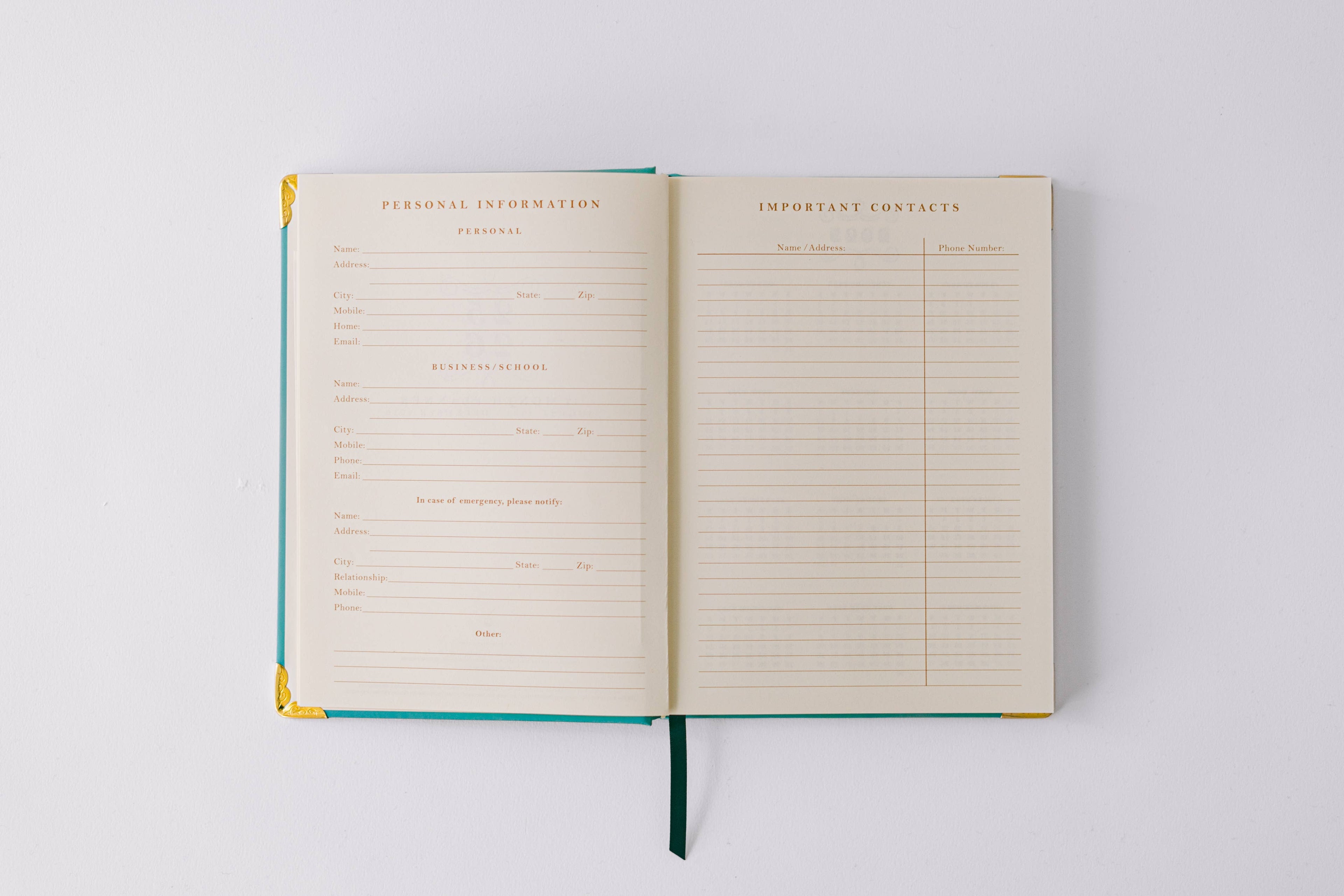 Good Juju Ink - 2026 Painted Frame 17-Month Medium Bound Planner