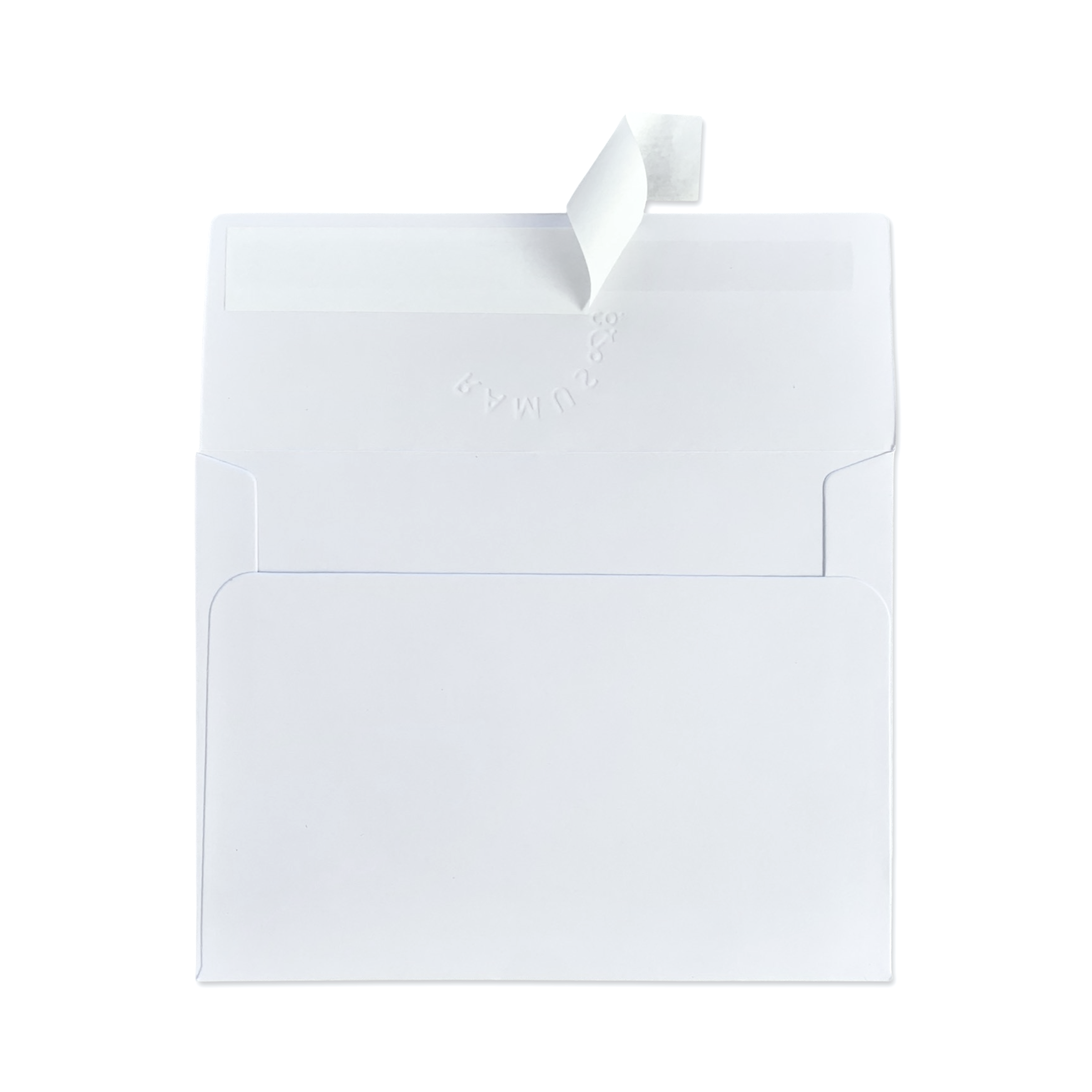 Ramus & Co. - Happy Birthday to a Master Greeting Card