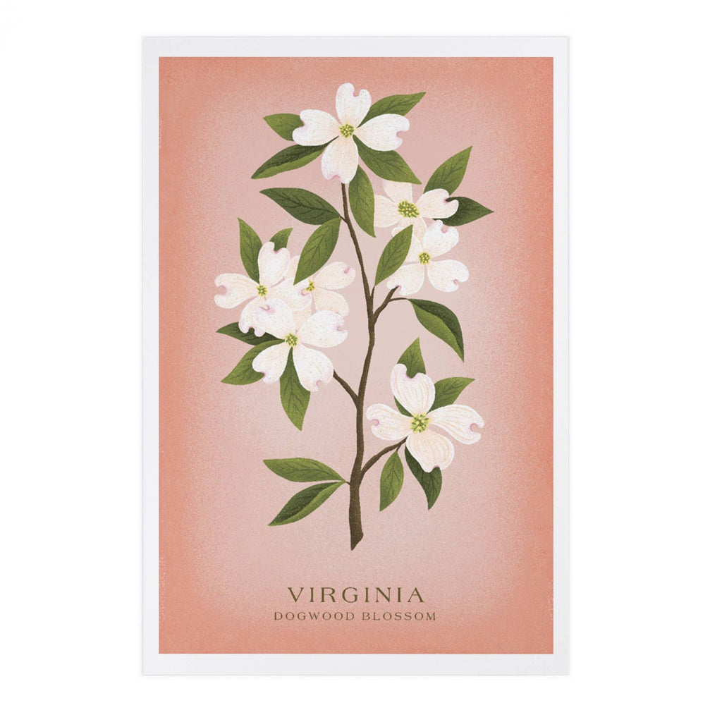 Lantern Press - PREMIUM POSTCARDS Virginia Vintage Flora Dogwood Blossom