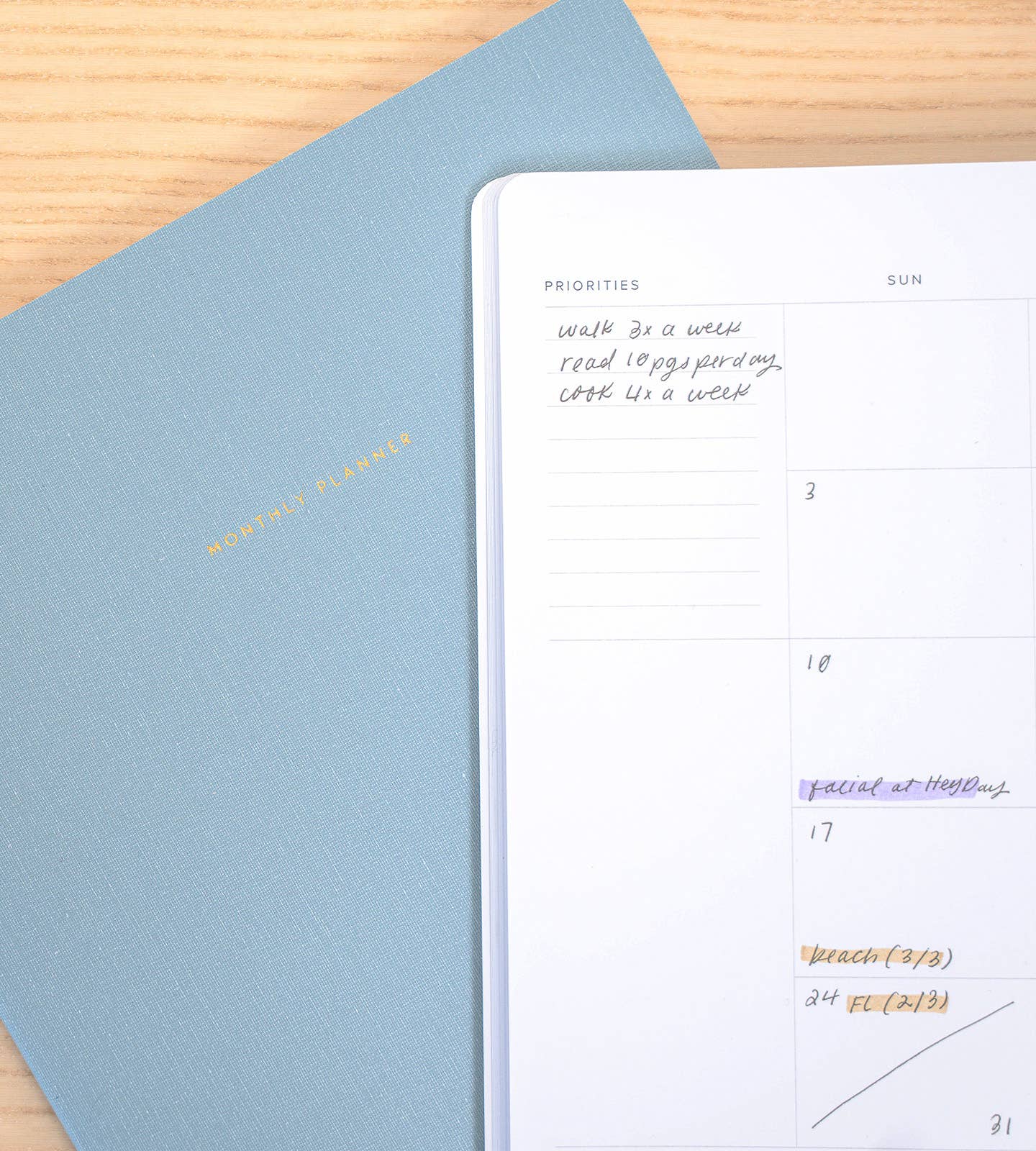 Appointed - Monthly Planner: Lavender Gray