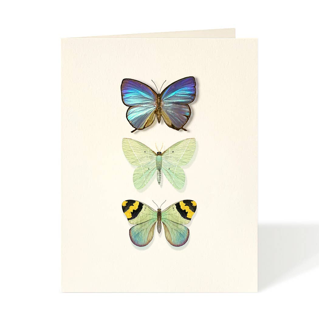 Felix Doolittle - Butterfly Trio - Everyday Greeting Card