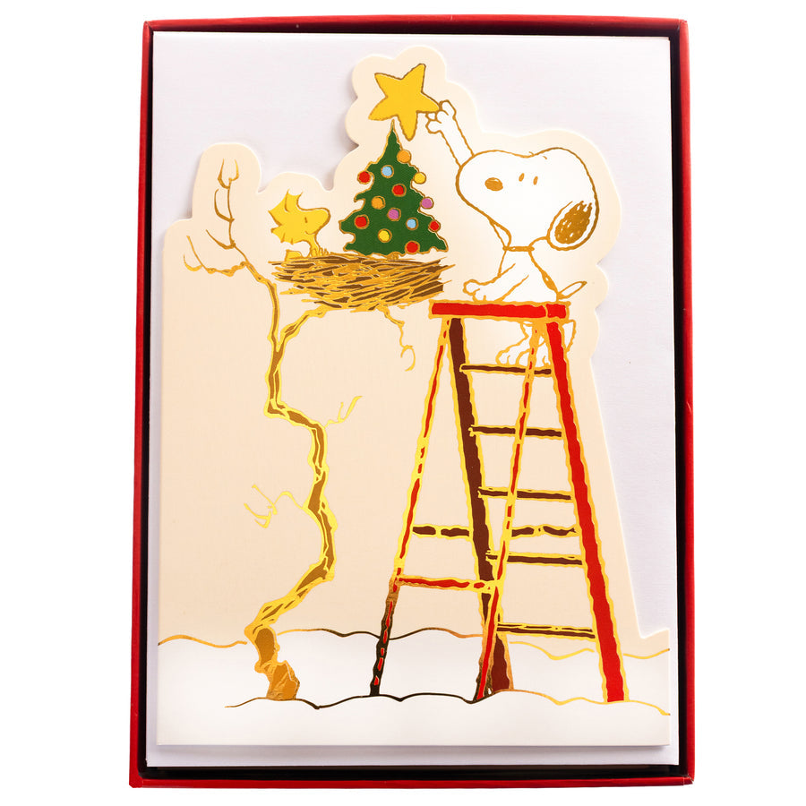 Graphique, Peanuts® Holiday Boxed Cards