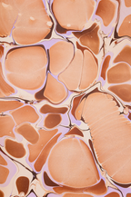 Glad & Young Studio - Meet & Greet Wallet: Champagne Problems