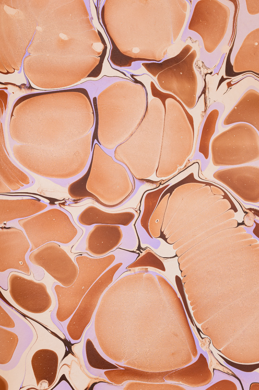 Glad & Young Studio - Meet & Greet Wallet: Champagne Problems