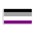 Stick With Finn - Asexual Pride Flag Sticker: 2.7 x 1.5 in