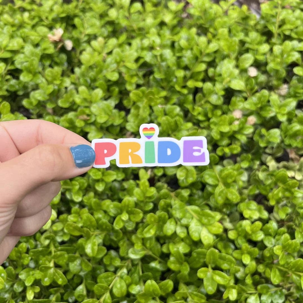 Stick With Finn - Rainbow Pride Sticker: 2.7 x 1 in