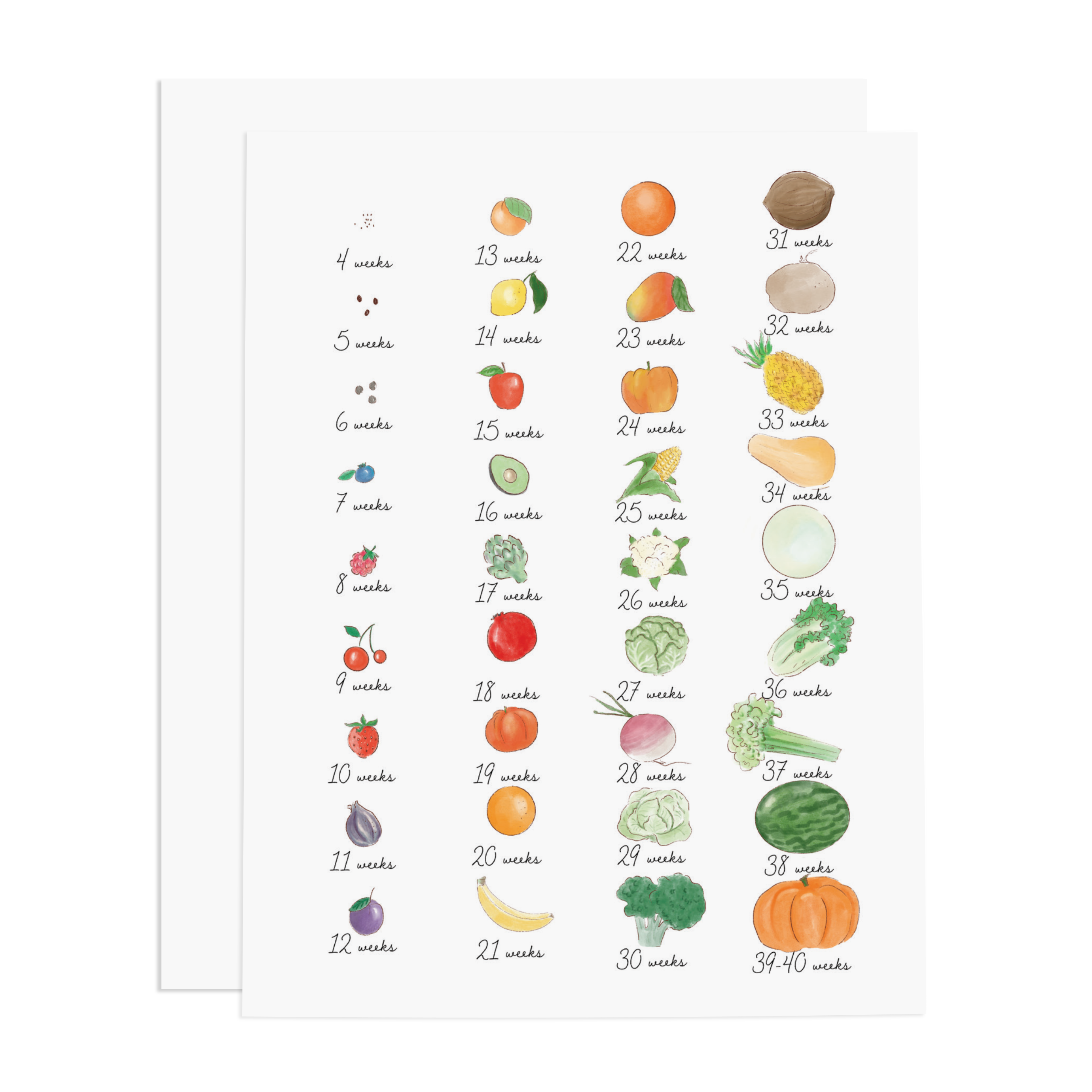 Ramus & Co. - Baby Weekly Growth Greeting Card