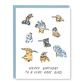 Kindred Letterpress - Rare Bird Birthday Card | Letterpress Birthday Card