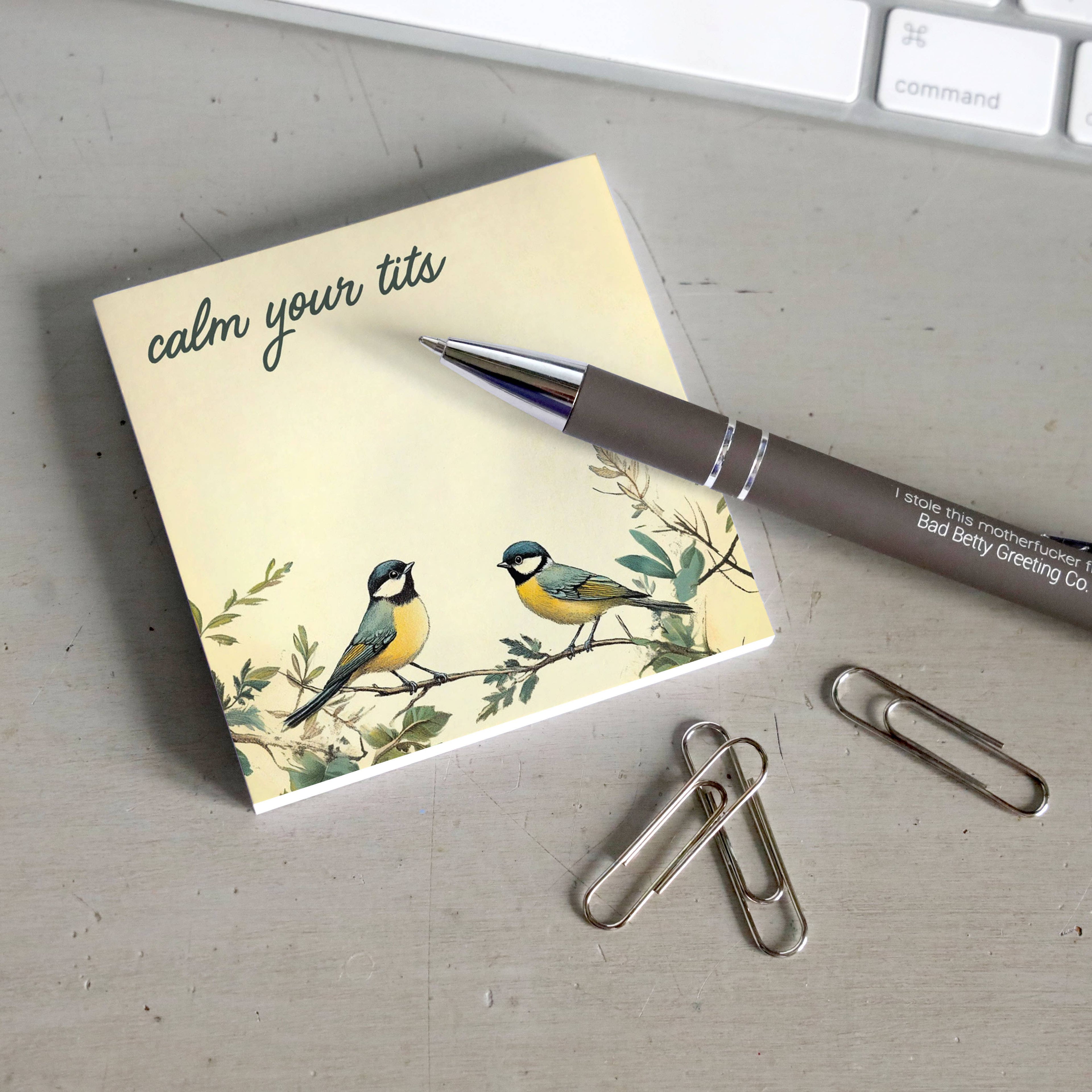 Bad Betty Greeting Co. - Calm Your Tits - Funny Sarcastic Sticky Note Pad