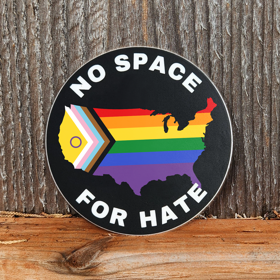 Discovery Stickers - No Space for Hate US Sticker