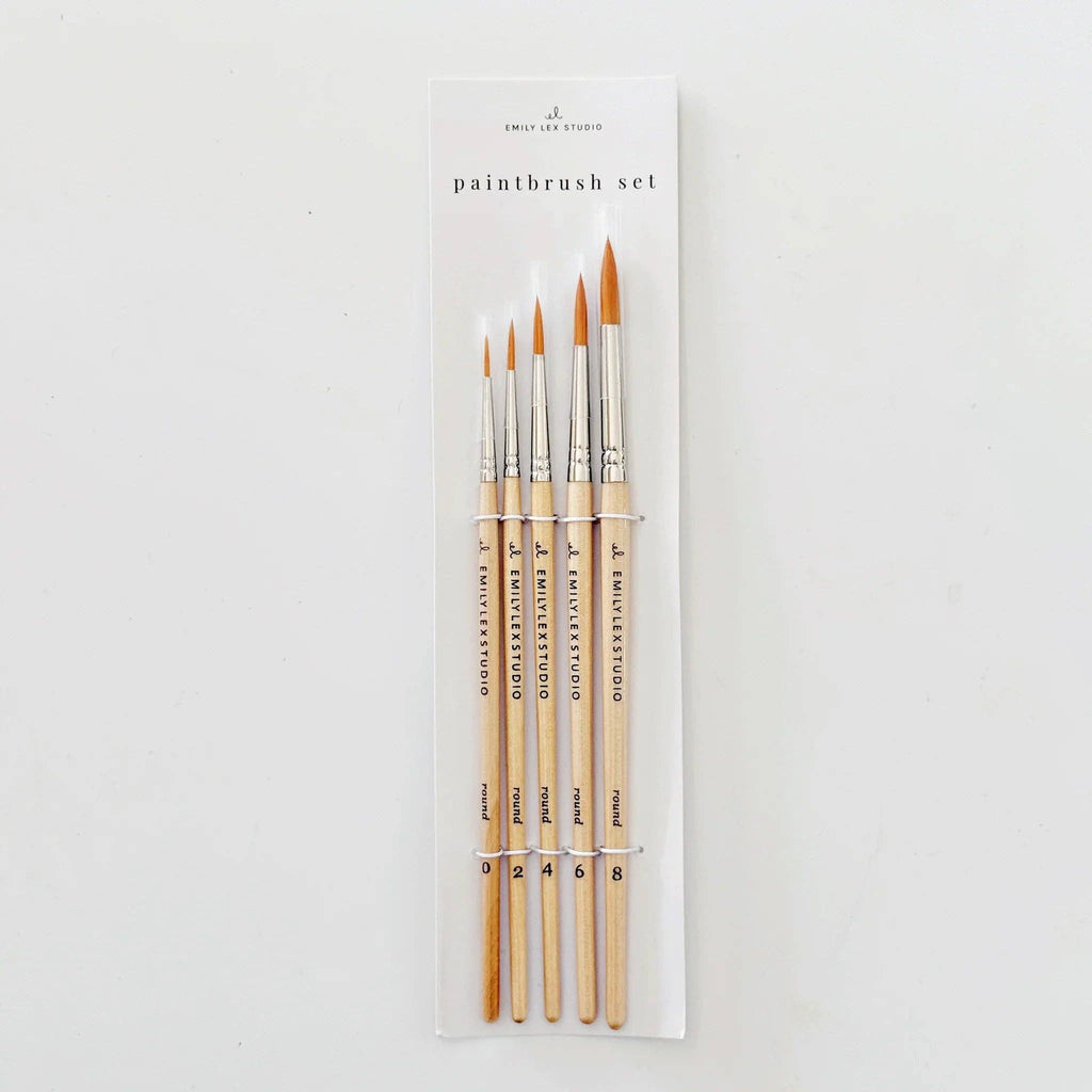emily lex studio - Watercolor paintbrush set of five wood brushes
