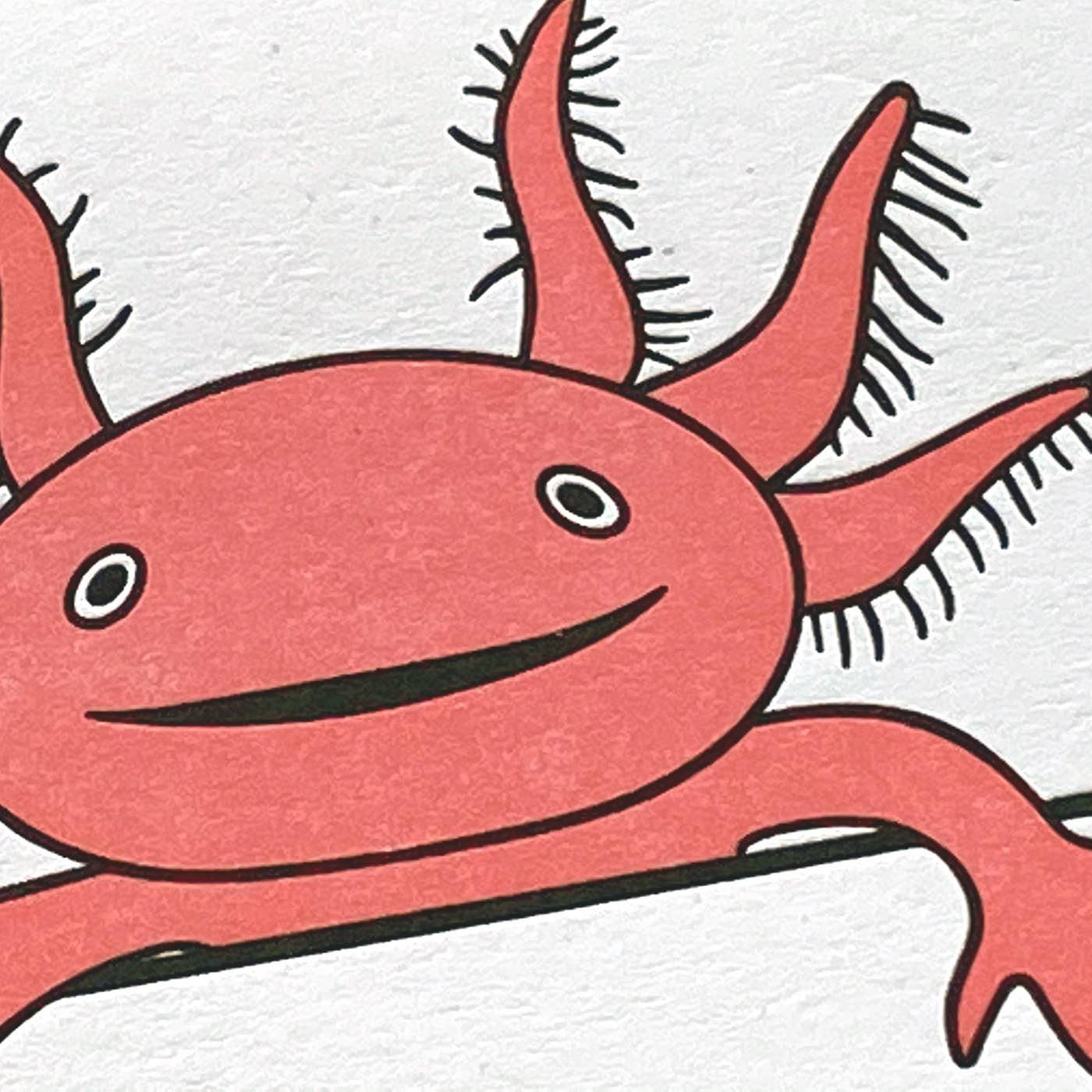Lady Pilot Letterpress - Axolotl Thanks Greeting Card