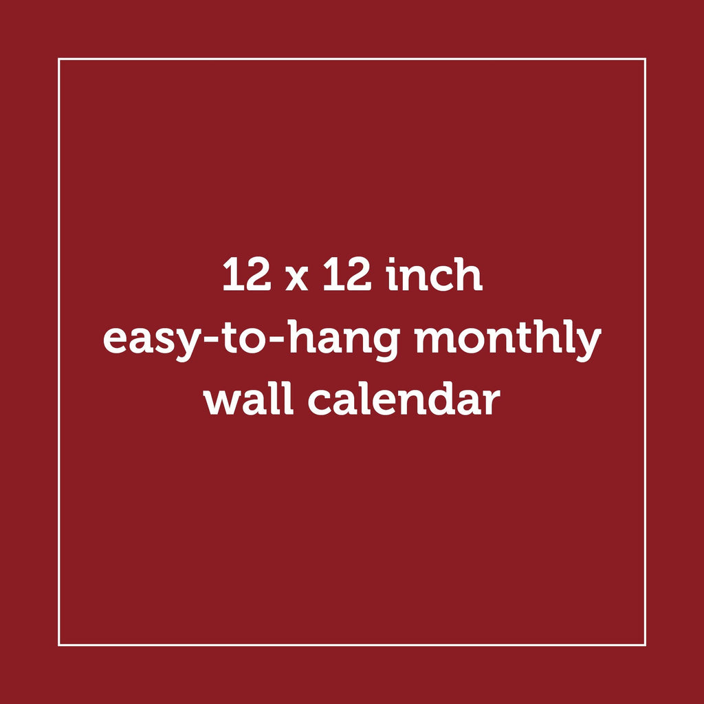 Chronicle Books - This Is My Bookstore 2026 Wall Calendar
