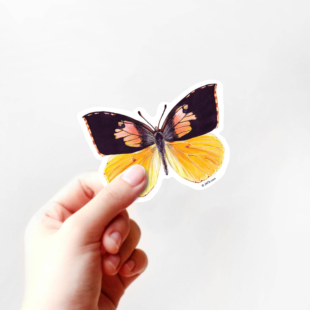 J6R6 - Butterfly 14 Vinyl Sticker (California Dog Face Butterfly)