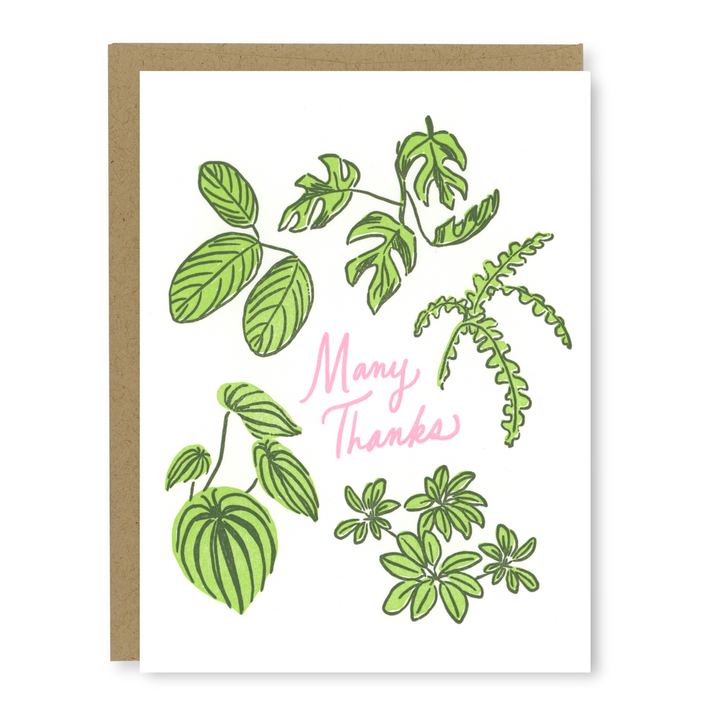 Kindred Letterpress - Houseplant Thank You Card