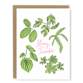 Kindred Letterpress - Houseplant Thank You Card