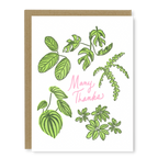 Kindred Letterpress - Houseplant Thank You Card