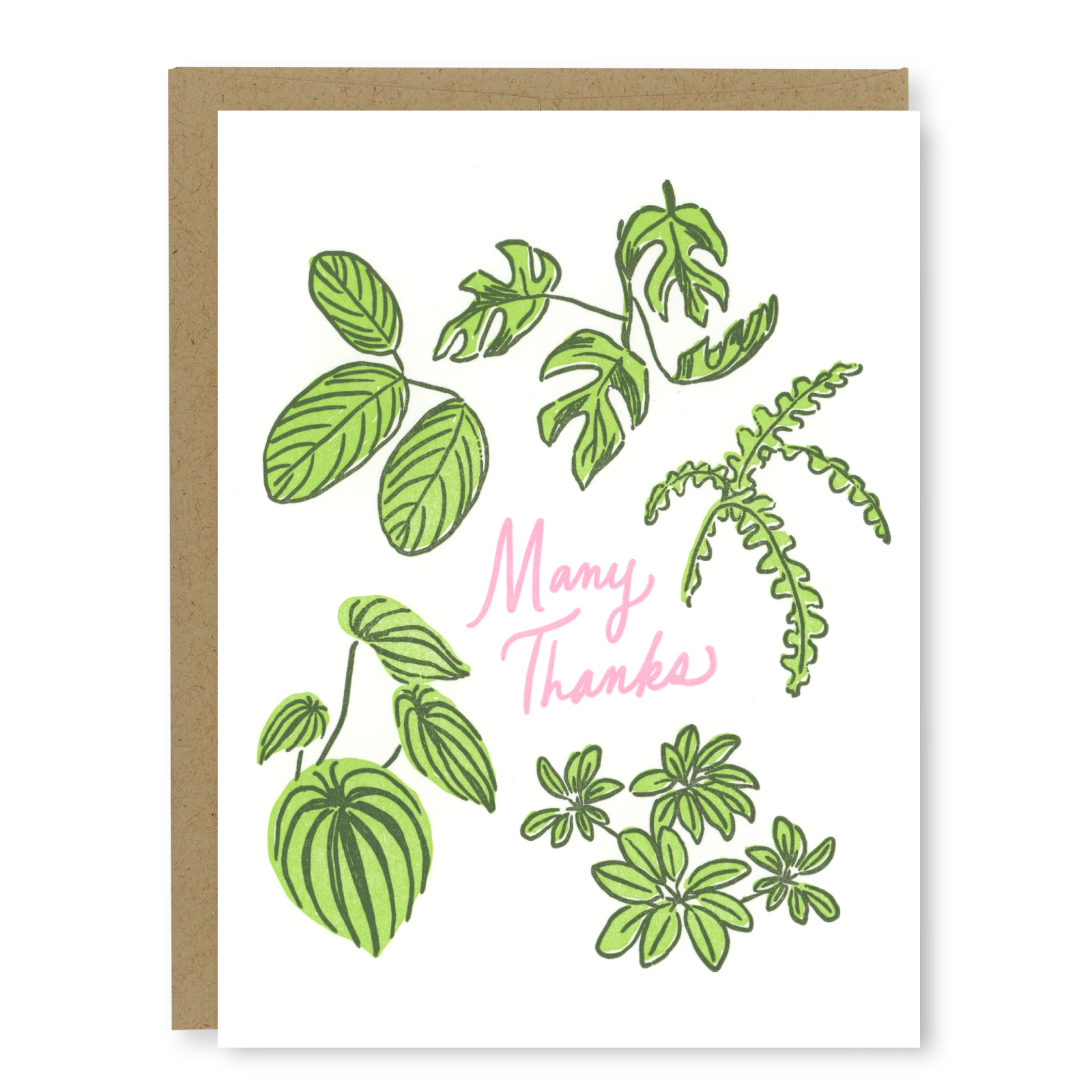 Kindred Letterpress - Houseplant Thank You Card