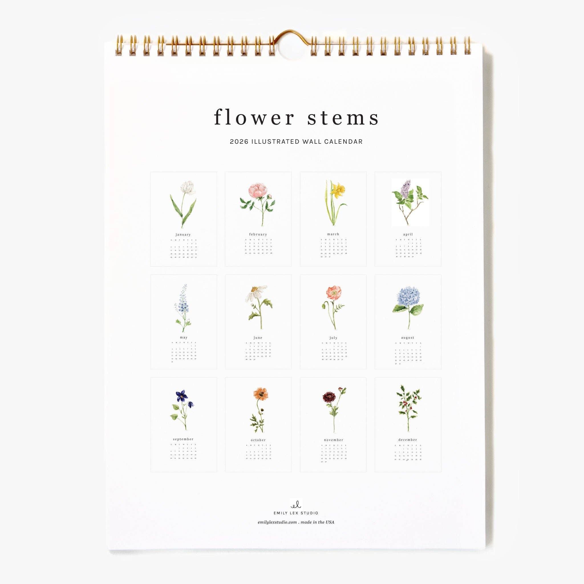 emily lex studio - 2026 flower stems calendar