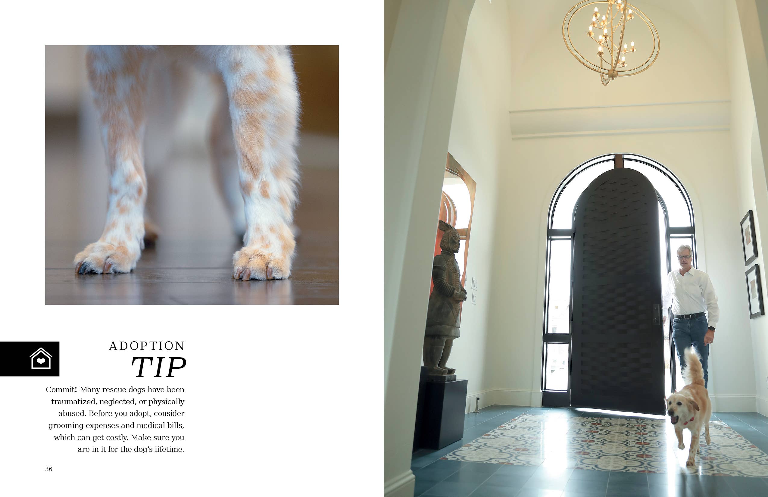 Schiffer Publishing - At Home with Dogs: Rescue Love Stories