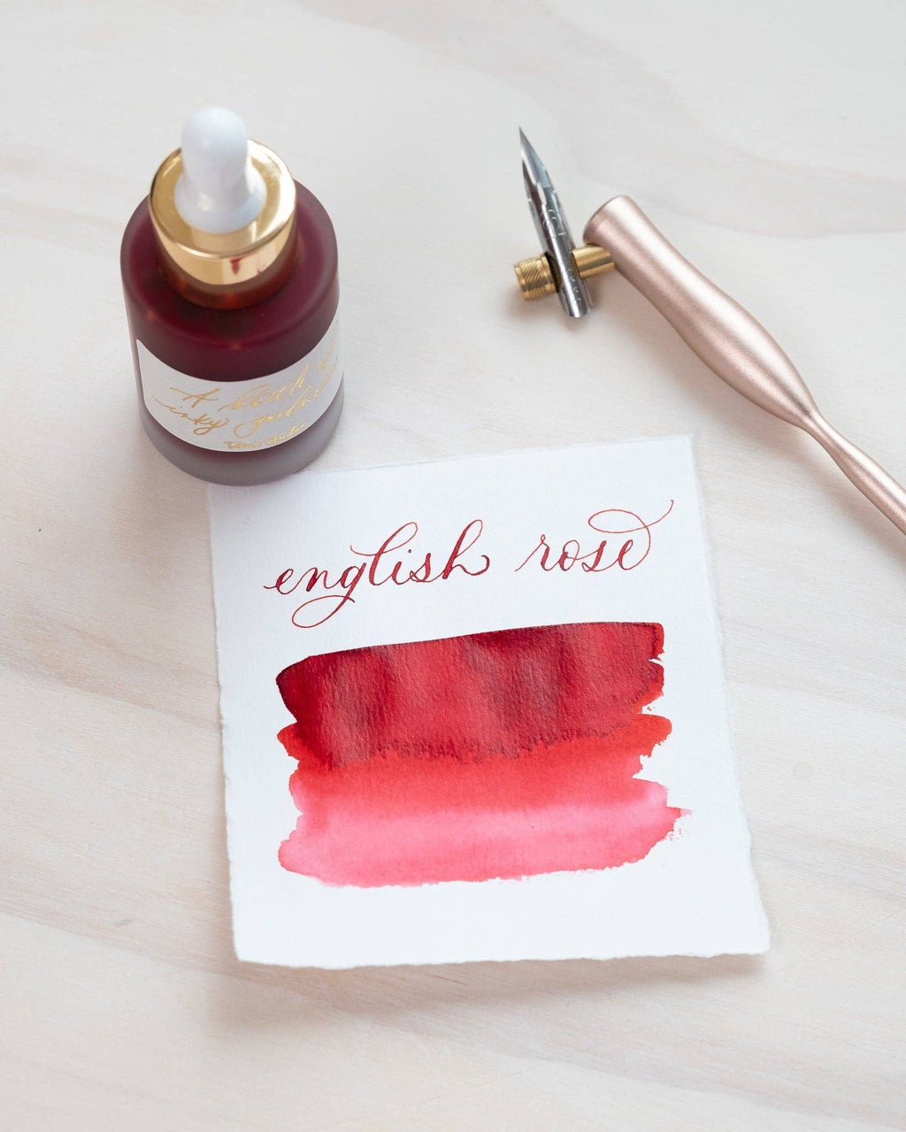 Tom's Studio - English Rose - Calligraphy Ink