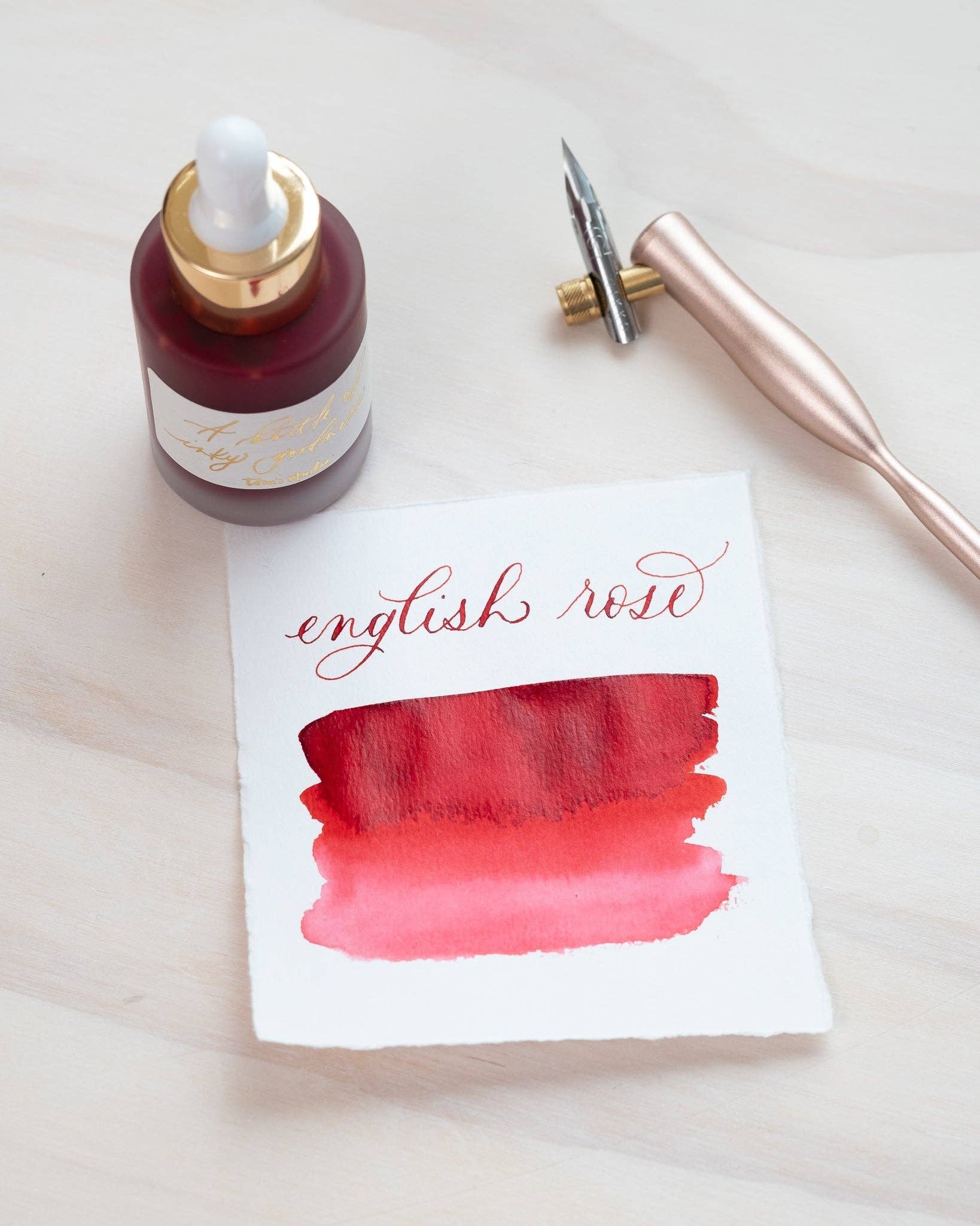 Tom's Studio - English Rose - Calligraphy Ink