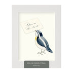 Felix Doolittle - Thanks a Lot 1  -- Note Set - Themed cards, boxed