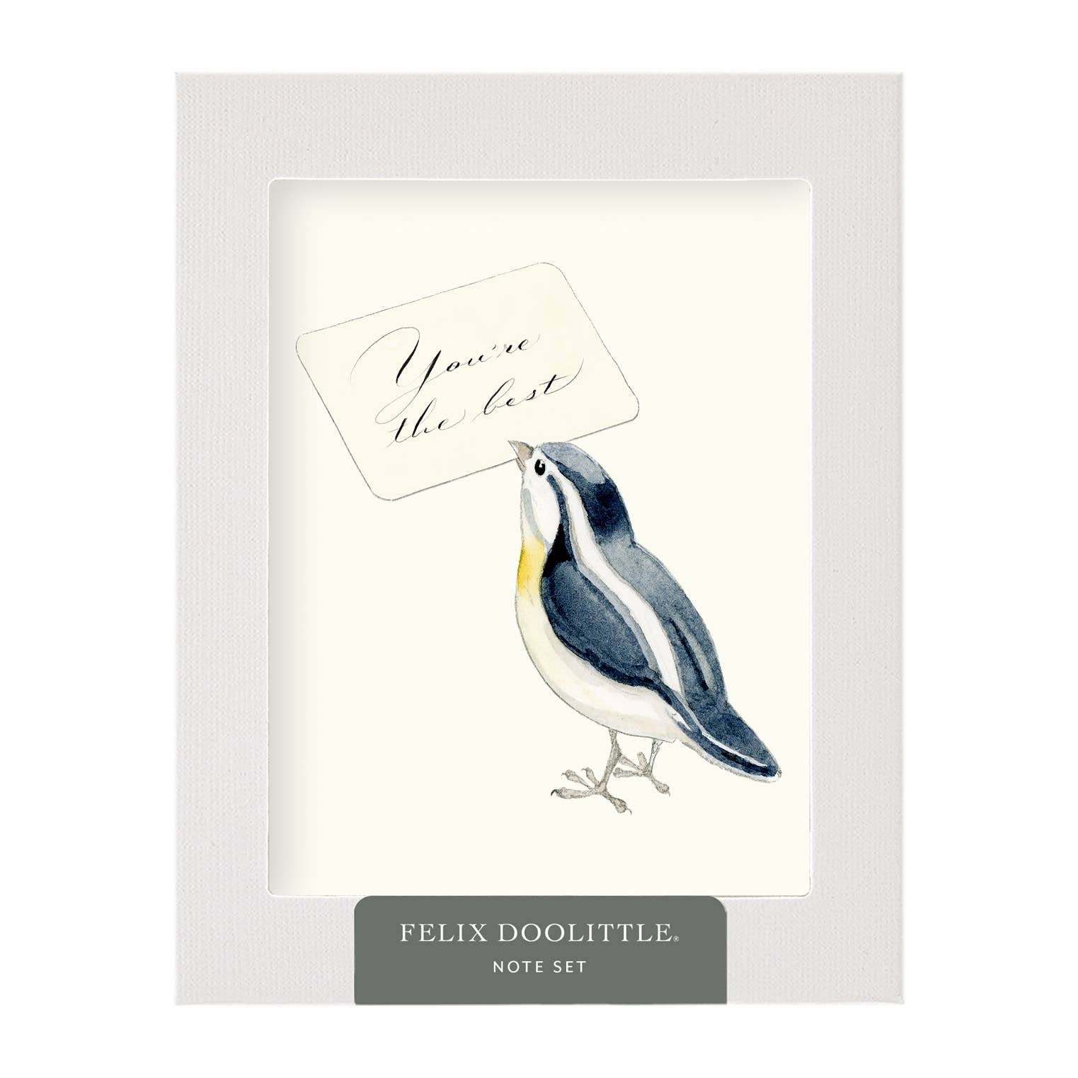 Felix Doolittle - Thanks a Lot 1  -- Note Set - Themed cards, boxed