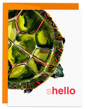 J6R6 - Painted Turtle Shello Card