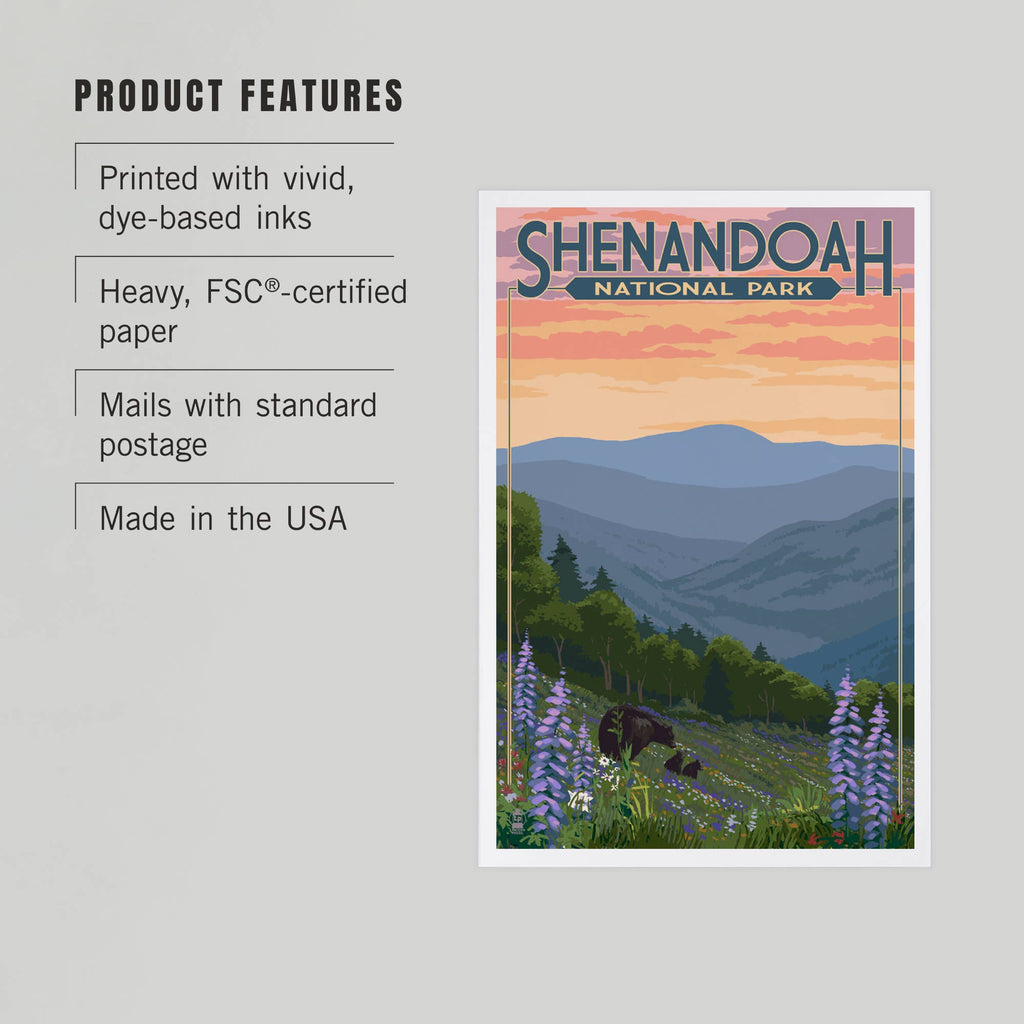 Lantern Press - PREMIUM POSTCARDS Shenandoah National Park, VA, Black Bears