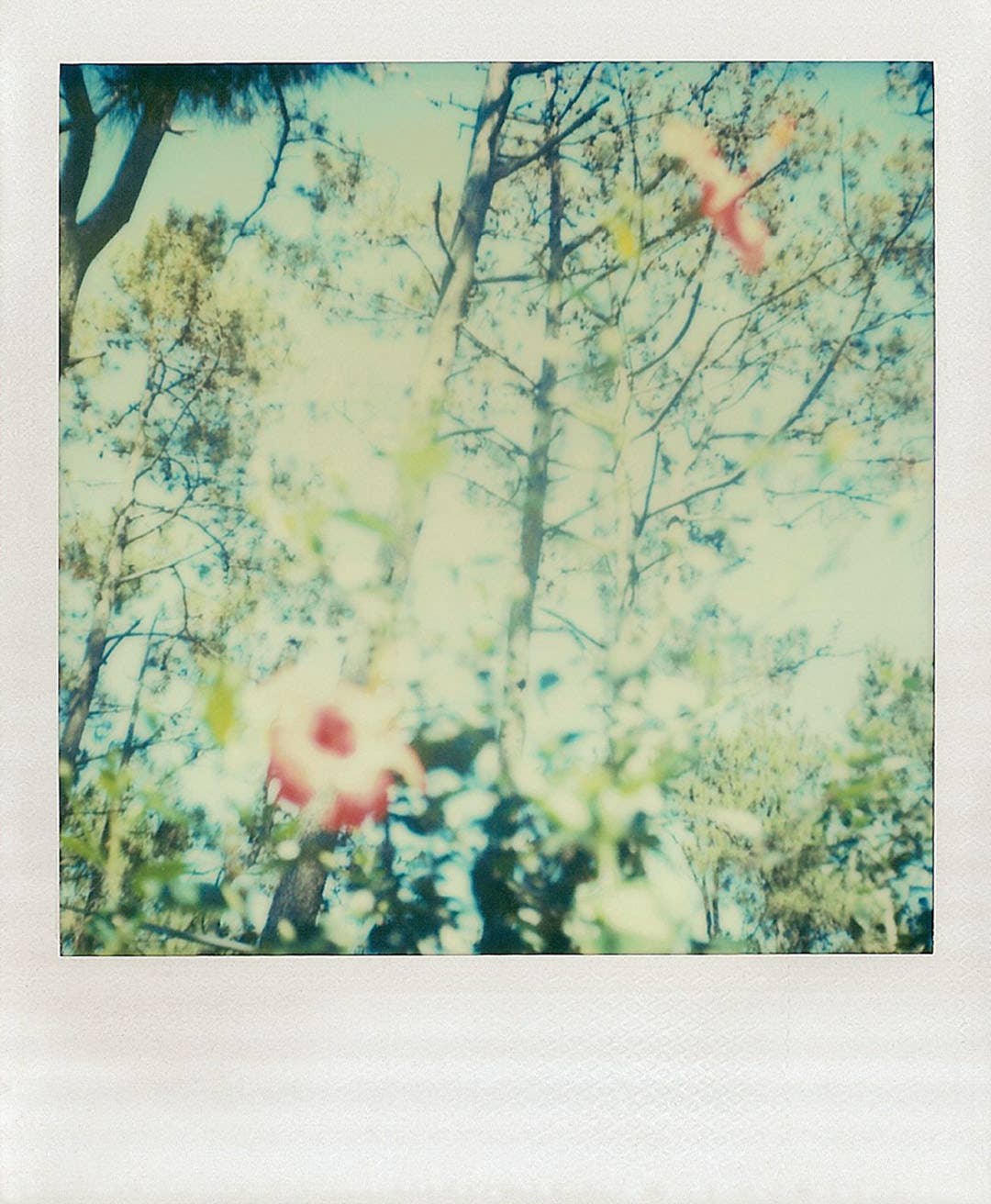 Chronicle Books - Polaroid Notes