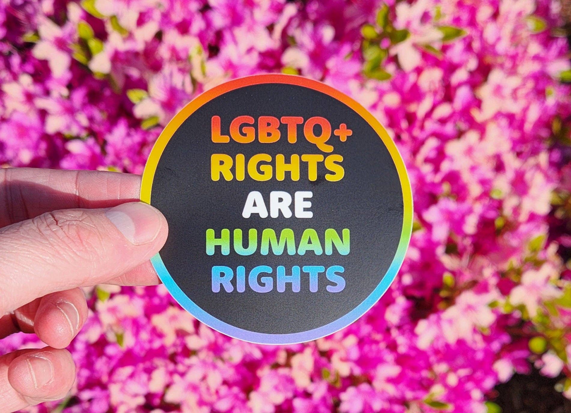 Discovery Stickers - LGBTQ+ Rights Are Human Rights