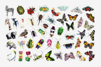 J6R6 - Lanternfly Vinyl Sticker