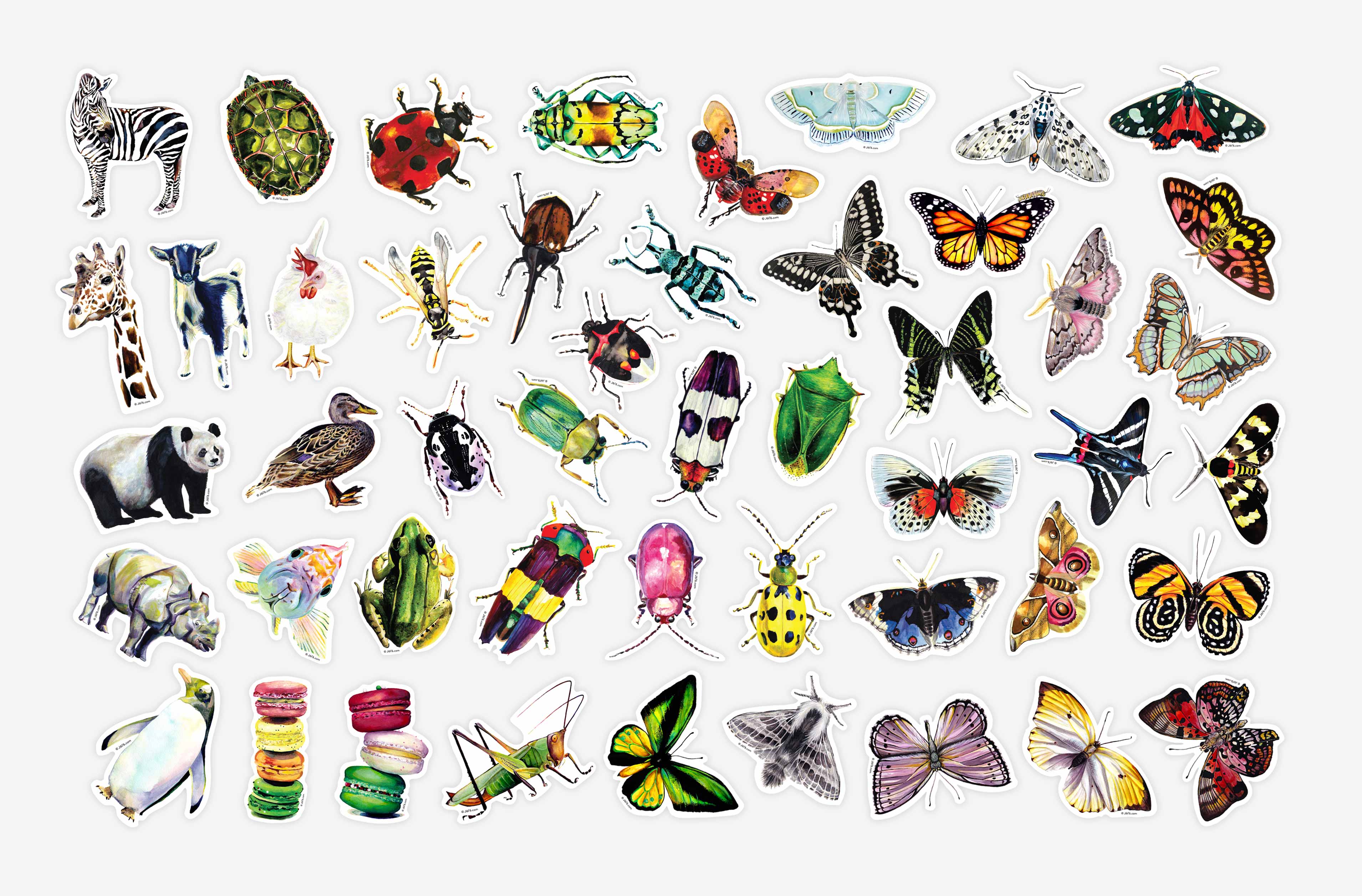 J6R6 - Lanternfly Vinyl Sticker