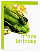 J6R6 - Frog Birthday Card