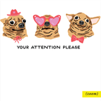 Party of One - Dogs Notepad