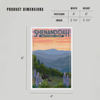 Lantern Press - PREMIUM POSTCARDS Shenandoah National Park, VA, Black Bears
