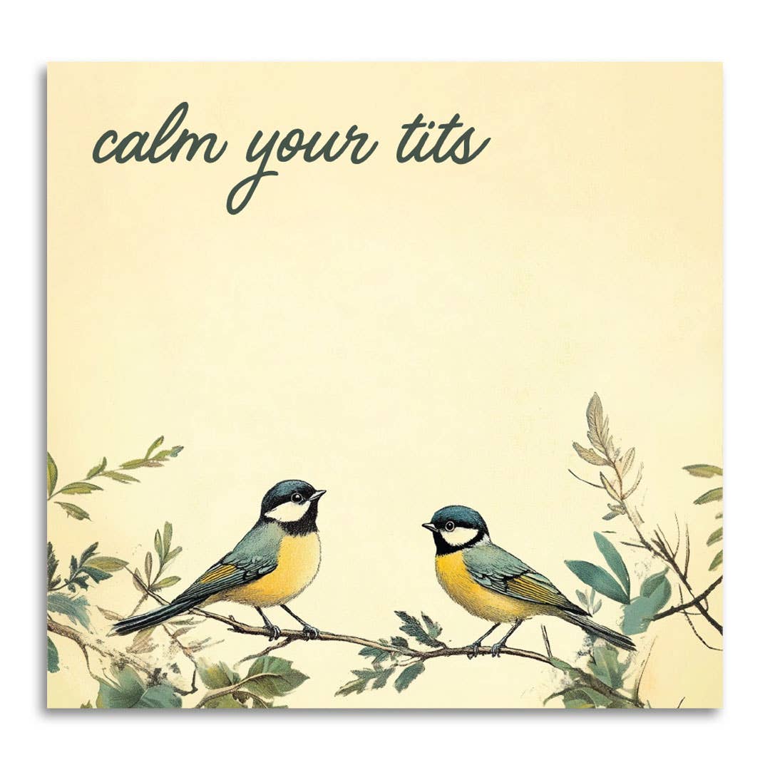Bad Betty Greeting Co. - Calm Your Tits - Funny Sarcastic Sticky Note Pad
