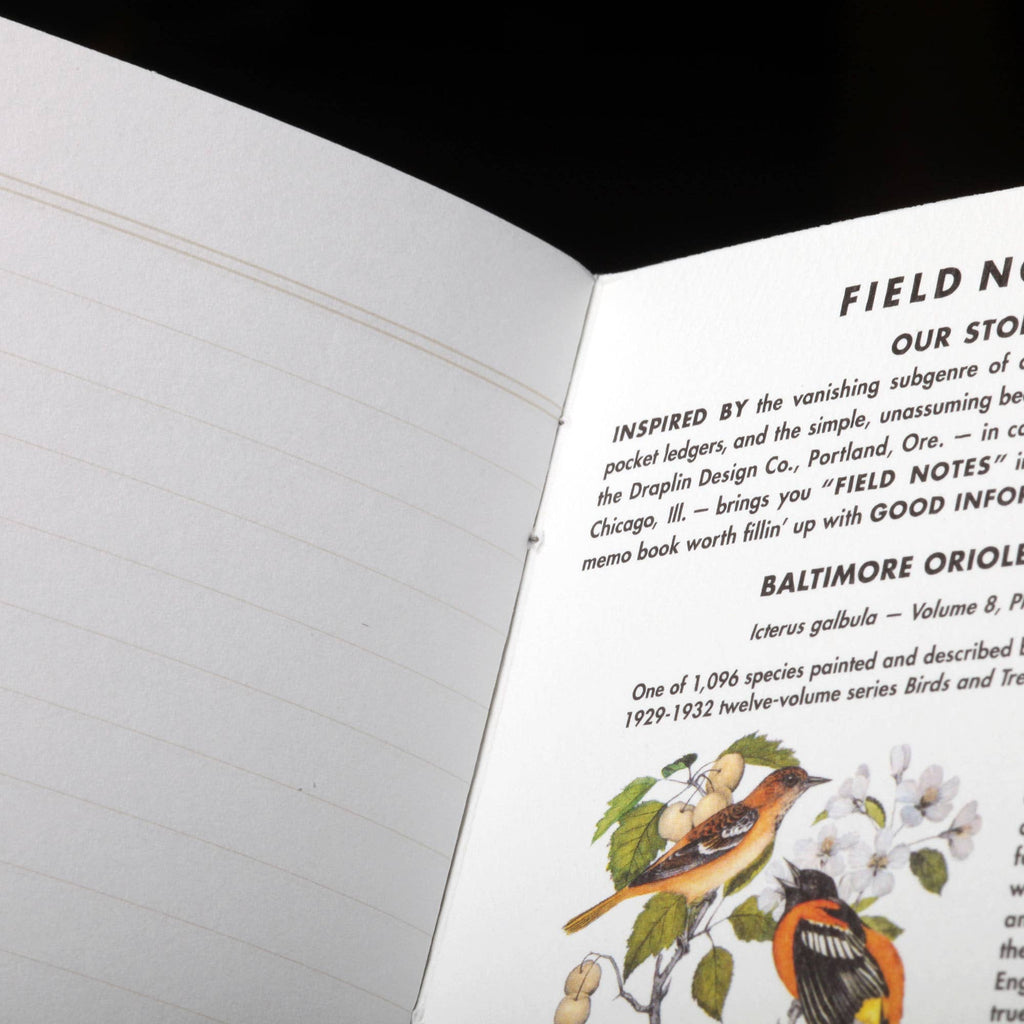 Field Notes - Birds and Trees of North America: Pack A: Screech Owl, Blue Jay, Brewer Sparrow