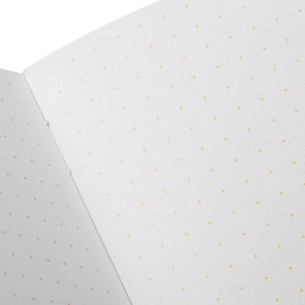 Field Notes - Paletas 3-Packs: Paletas 3-Pack A: Blue - Red - White